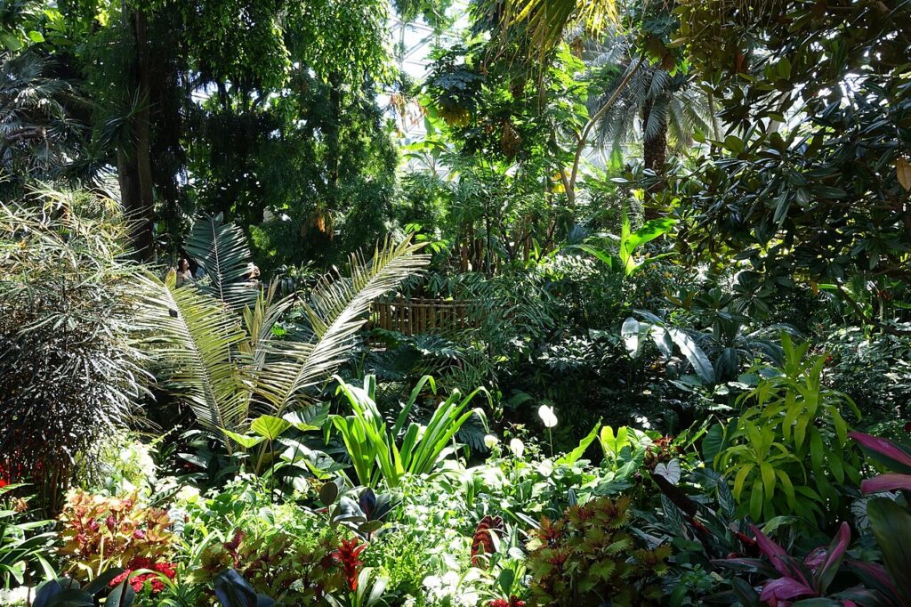 Bloedel Floral Conservatory Vancouver