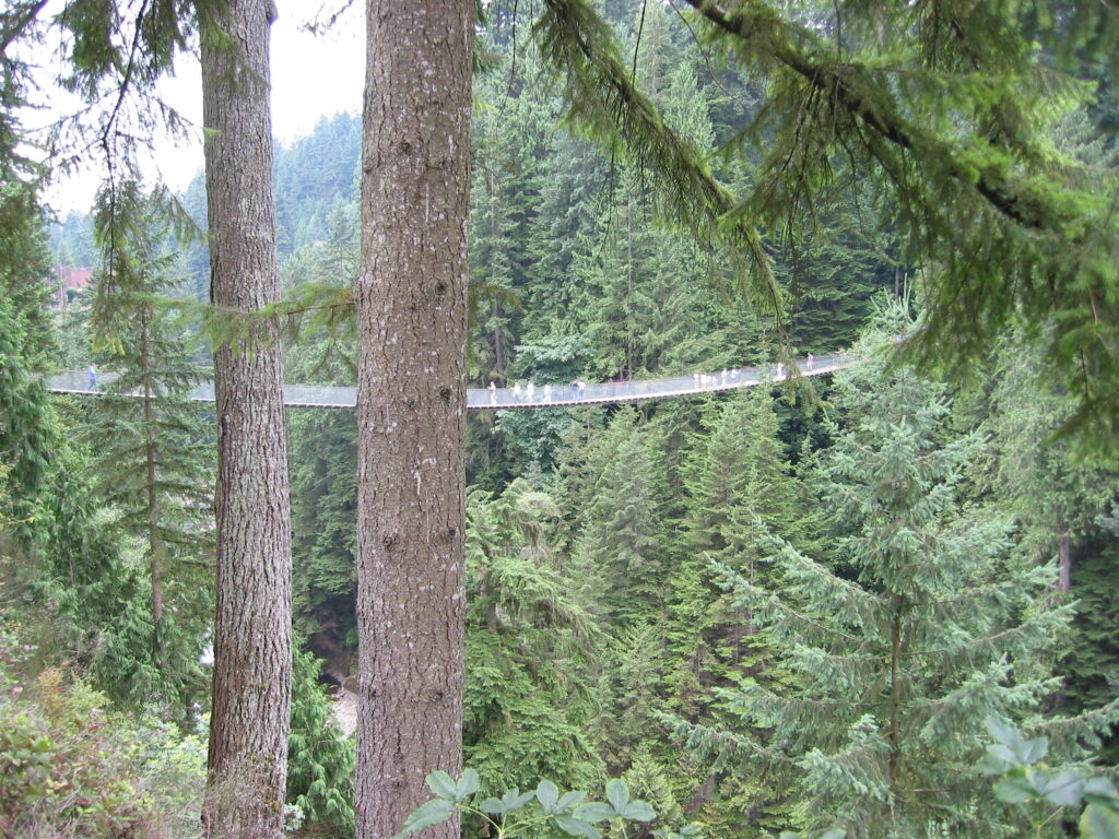 Capilano Suspension Bridge