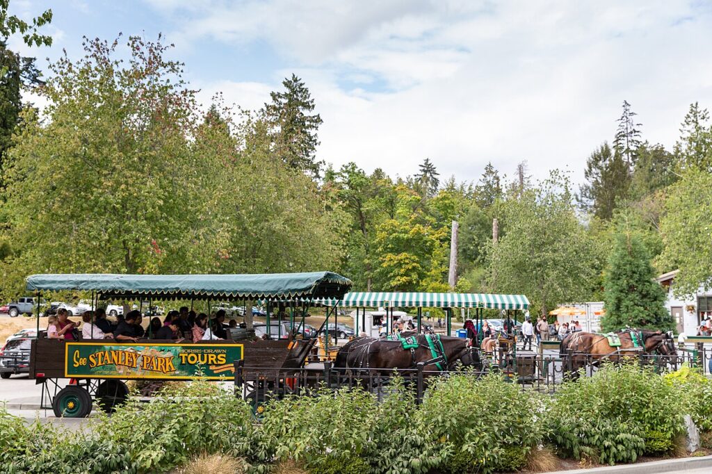 Horse Drawn Tour Vancouver